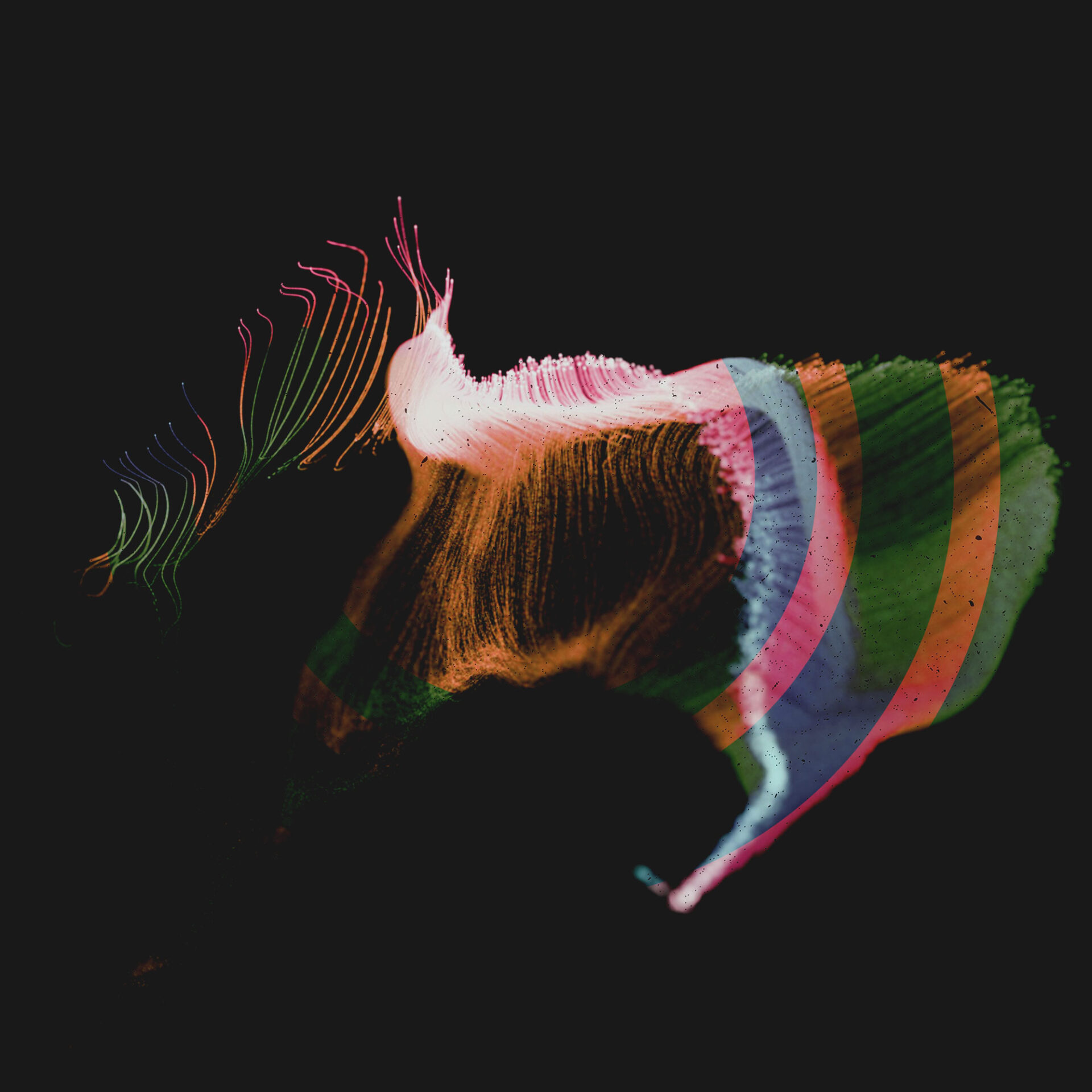 EvrenKuantumDalgalanma