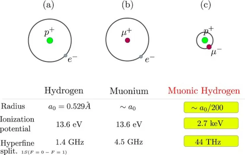 Kaynak: R. M. Das et al., Optik, 2020Bu illüstrasyon, boyut ve iyonlaşma enerjisi açısından standart hidrojenin (bir proton ve bir elektron içeren), müonyumun (protonun yerini bir anti-müonun aldığı) ve müonik hidrojenin (hidrojende elektronun yerini bir müonun aldığı) arasındaki farkı göstermektedir. Müonyum için boyut ve iyonlaşma enerjisi çok az değişirken, müonik hidrojen çok daha küçüktür ve müonun elektrona göre çok daha büyük kütlesi nedeniyle uyarılması veya iyonlaştırılması çok daha zordur.