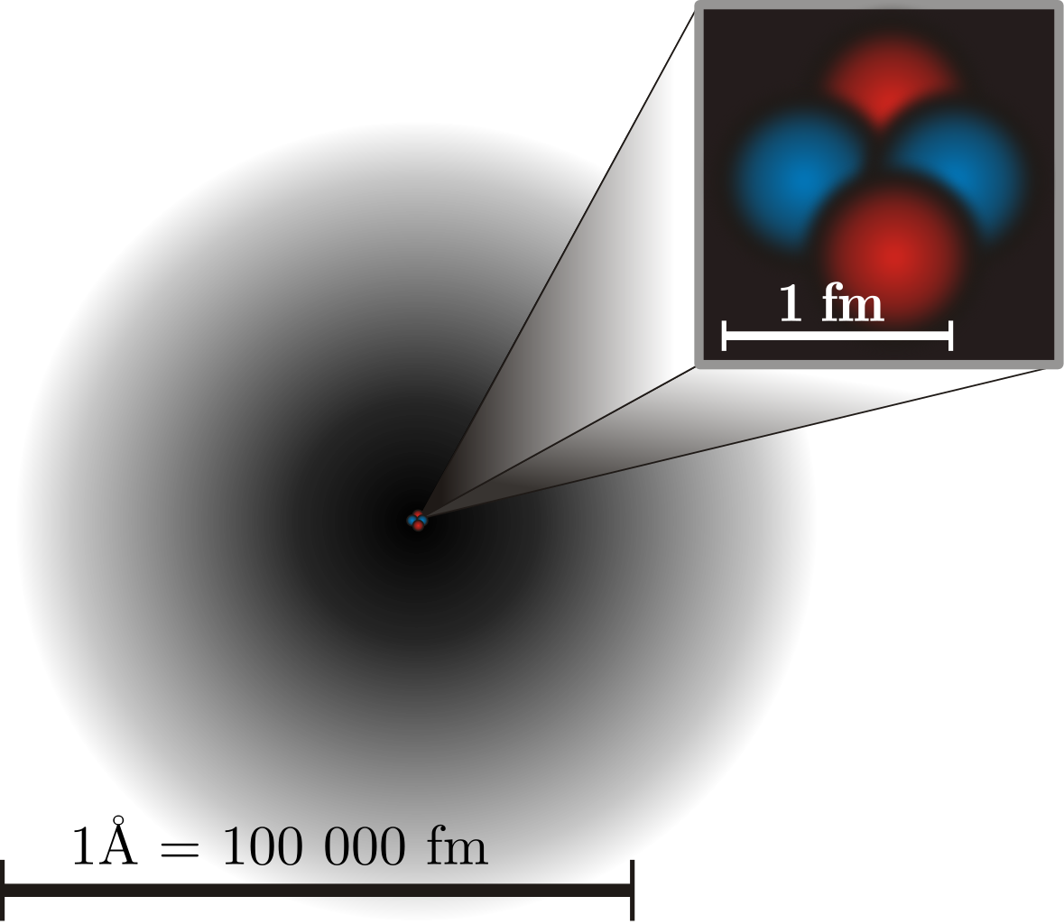 Kaynak: Yzmo and Mpfiz/Wikimedia CommonsBir atom hacim olarak çoğunlukla elektron bulutunun ağırlıkta olduğu boş bir alan olsa da atom hacminin 10-15'te 1'ini oluşturan yoğun atom çekirdeği, atom kütlesinin ~%99,95'ini içerir. Bir çekirdeğin iç bileşenleri arasındaki reaksiyonlar, bir atomun elektronlarıyla sınırlı geçişlerden daha kesin olabilir ve daha kısa zaman aralıklarında ve farklı enerjilerle gerçekleşebilir.