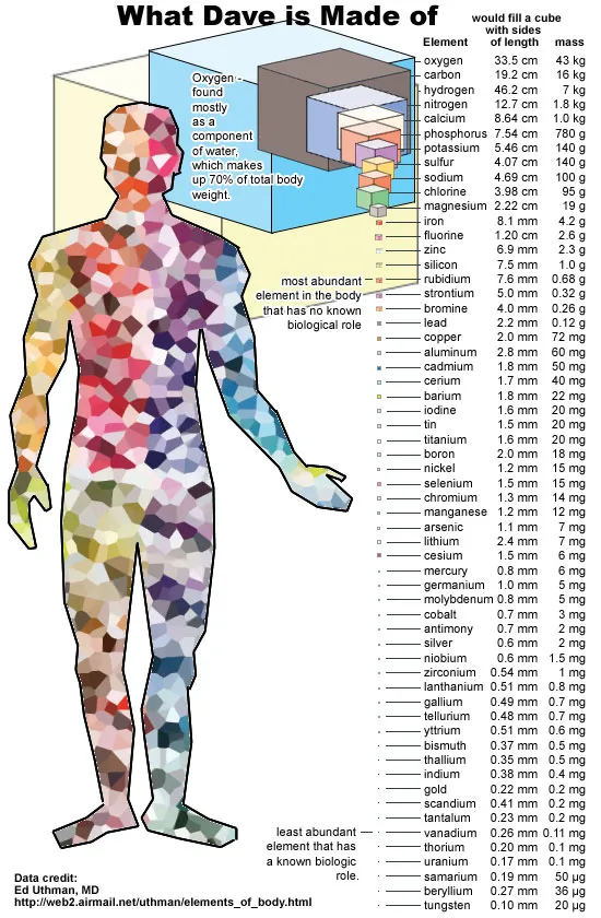 Kaynak: Dave Collins/Dave’s Brainİnsan hücrelerden oluşsa da çok daha temel bir düzeyde atomlardan oluştuğunu söyleyebiliriz. Bir insan vücudunda sayı olarak çoğunlukla hidrojen, kütle olarak ise çoğunlukla oksijen ve karbon olmak üzere ~1028'e yakın atom bulunmaktadır.