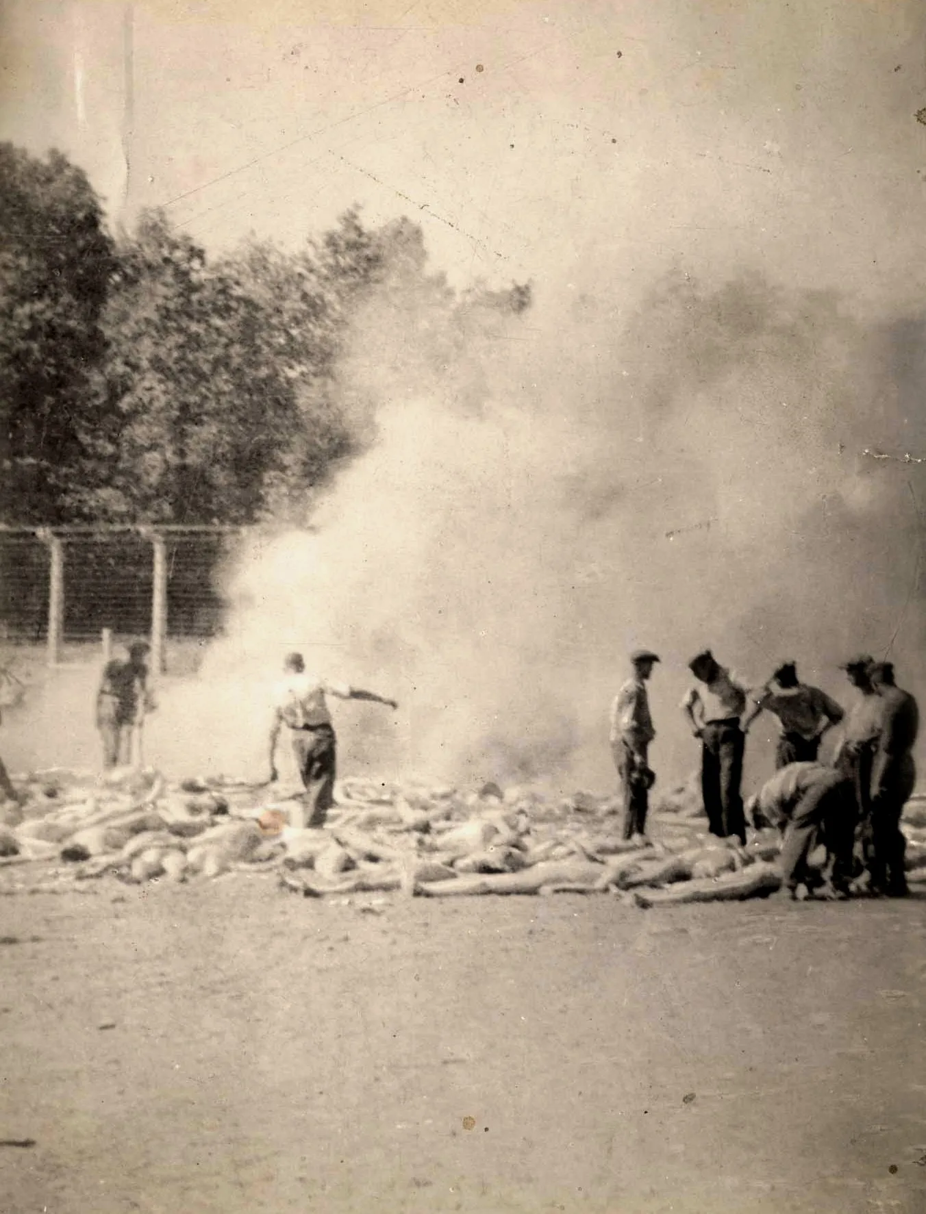 1944'te krematoryumların iş yüküne yetişemediği zamanlarda cesetlerin yakılması için kullanılan çukurların bulunduğu çitle çevrili bir alan