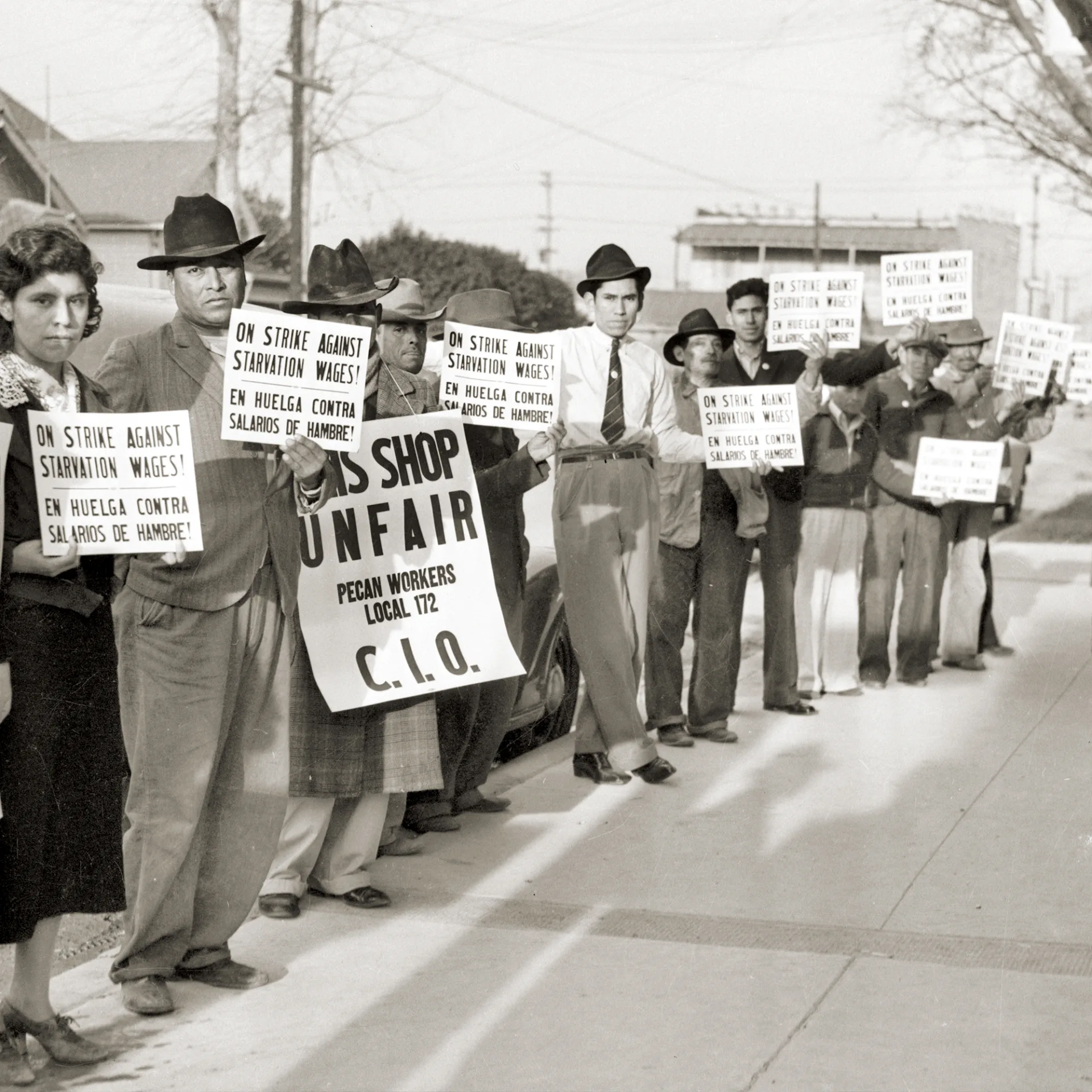 SagNedenDemokrasiden