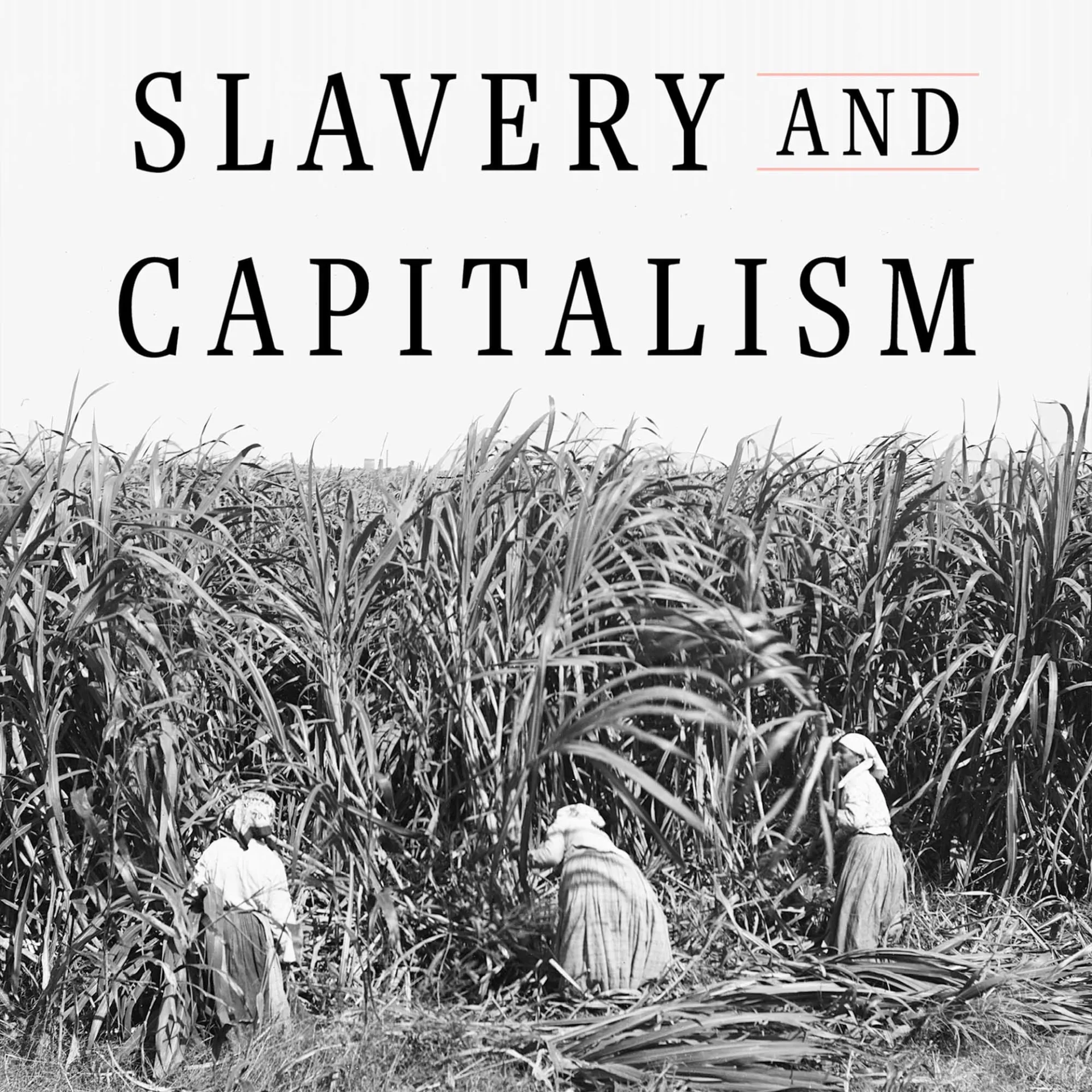 SlaveryAndCapitalism