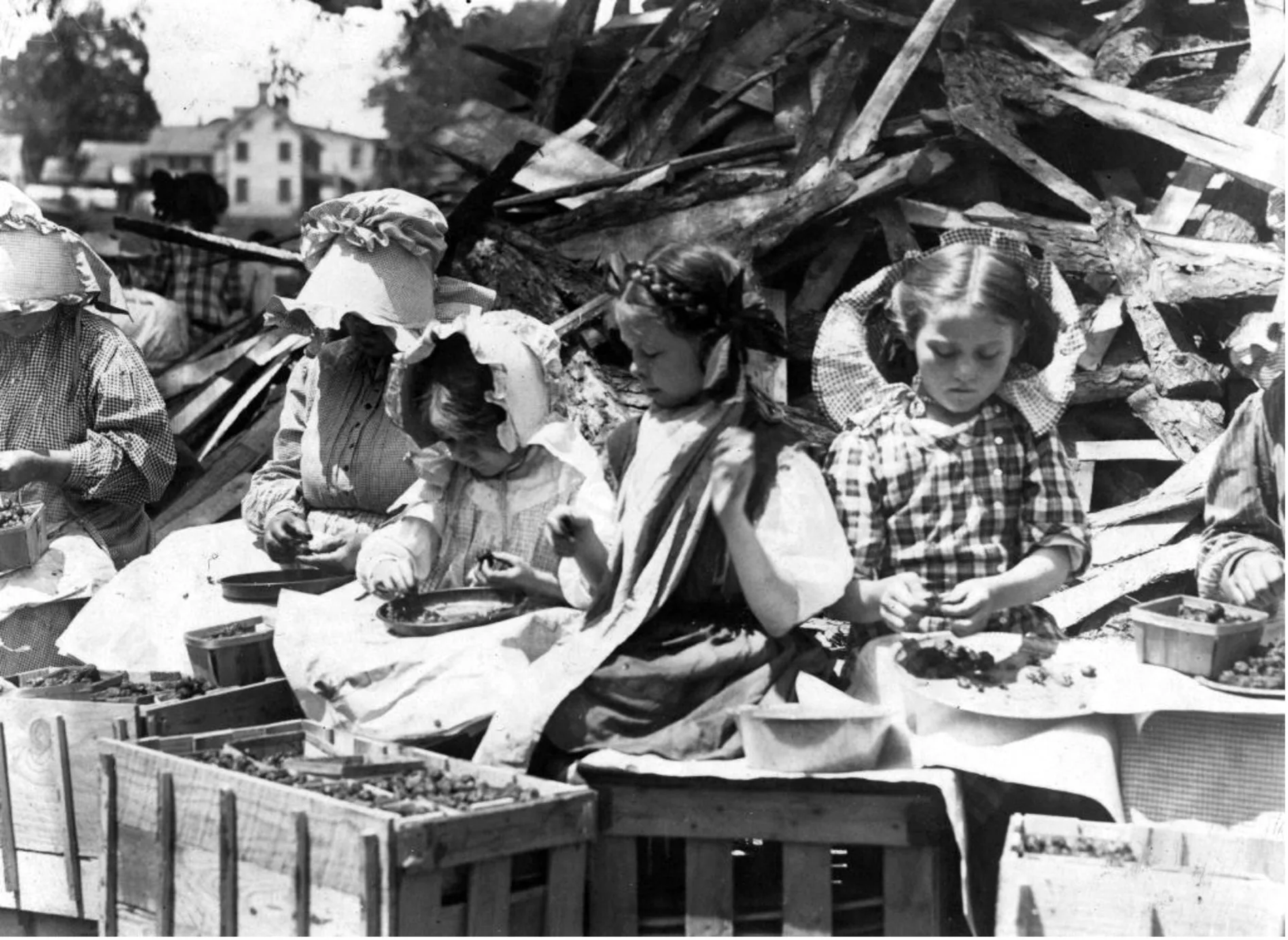 1910 yılında Delaware, Seaford’daki Johnson’s Hulling İstasyonu’nda çalışan çocuk işçiler. Fotoğraf: Lewis Hine 1874–1940.