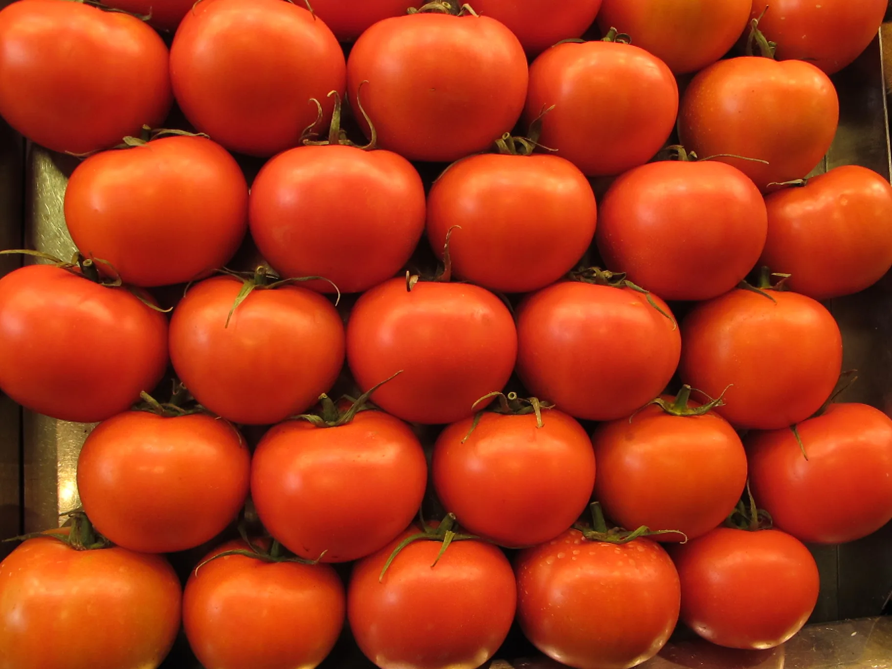 Ripe_tomatoes